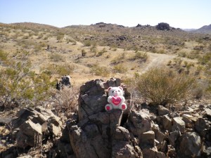 SANYO DIGITAL CAMERA