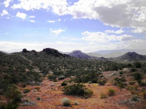 SANYO DIGITAL CAMERA