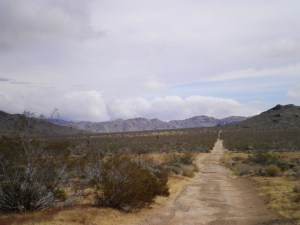 SANYO DIGITAL CAMERA