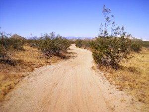 SANYO DIGITAL CAMERA