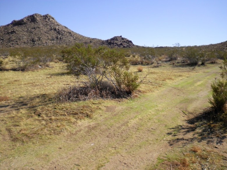 SANYO DIGITAL CAMERA