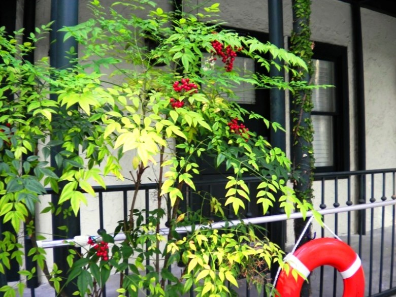 Room at the Village Inn and Pub