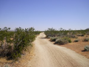 Desert Road