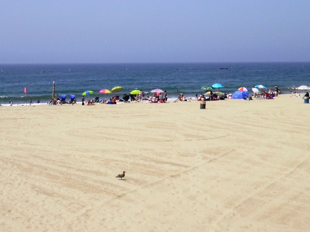 Santa Monica Beach