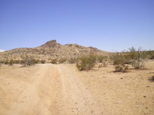 SANYO DIGITAL CAMERA