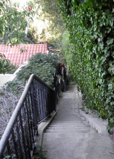 Whitley Terrace Stairs