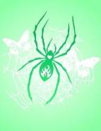 spider