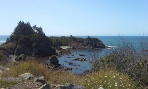 20150903 120855 resized